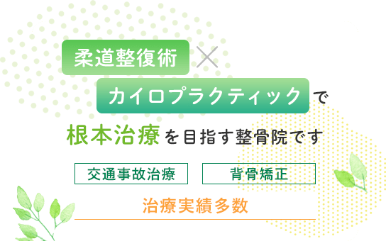 柔道整復術×カイロプラクティックで根本治療を目指す整骨院です　交通事故治療　背骨矯正　治療実績多数